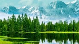 风景