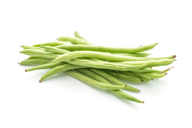 四季豆