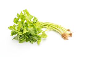 芹菜