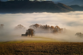 风景