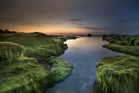 风景
