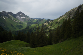 风景