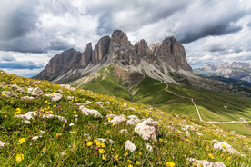 风景