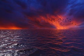 夕阳  大海