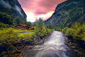 风景