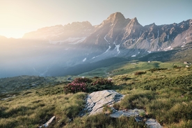 风景