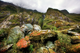 风景