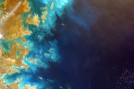 大海