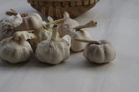 大蒜