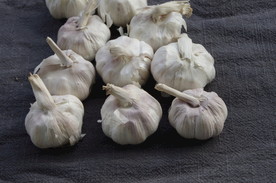 大蒜