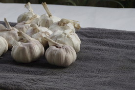 大蒜