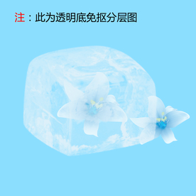 冰块花朵
