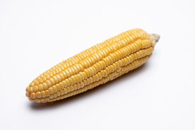 玉米