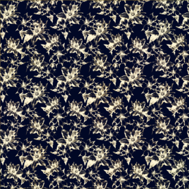 花知晓背景底图