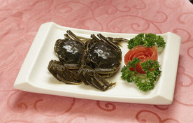 美食