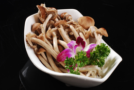 美食