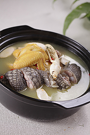 美食