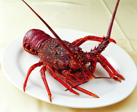 美食