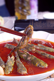美食