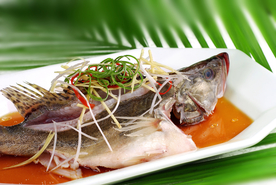 美食