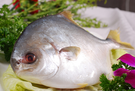 美食