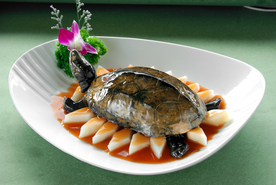 美食