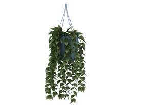 吊篮植物3d模型