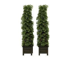 植物架子3d模型