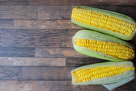 玉米