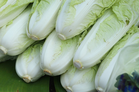 大白菜