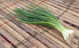 小葱