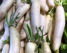 白萝卜
