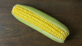 玉米