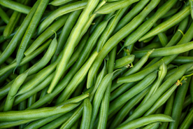 四季豆