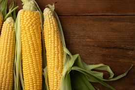 玉米