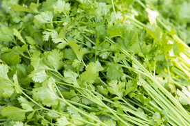 芹菜