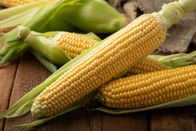 玉米