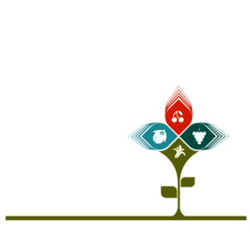 创意智慧树科技树PNG素材