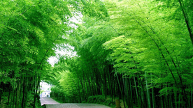 风景