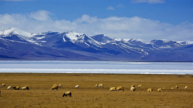 风景
