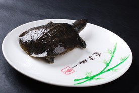 美食