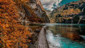风景