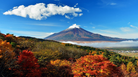 风景