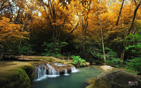 风景