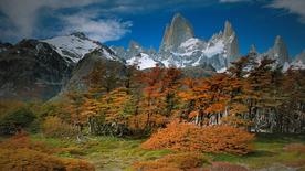 风景