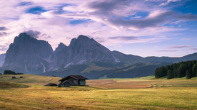 风景