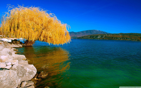 风景
