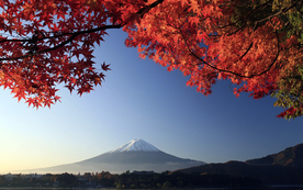 风景