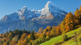 风景