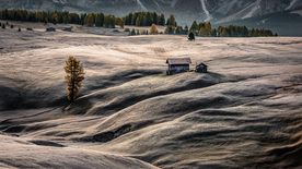 风景